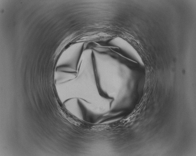 X0000068270051200605191838