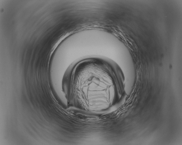 X0000068270052200605191838