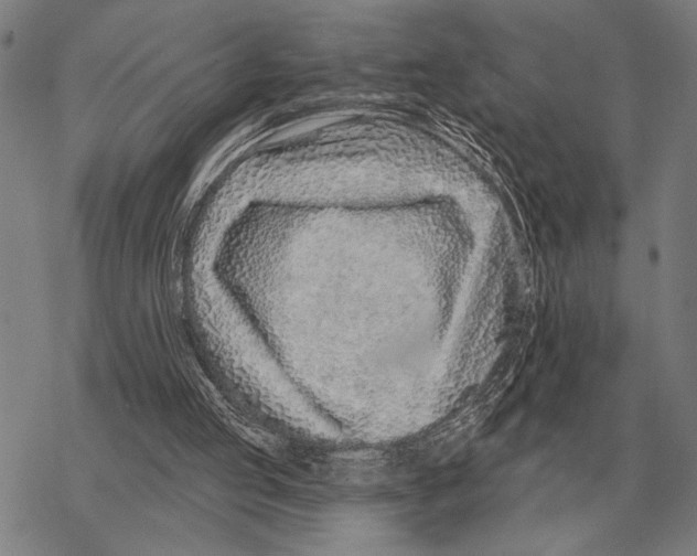 X0000068270053200605191838