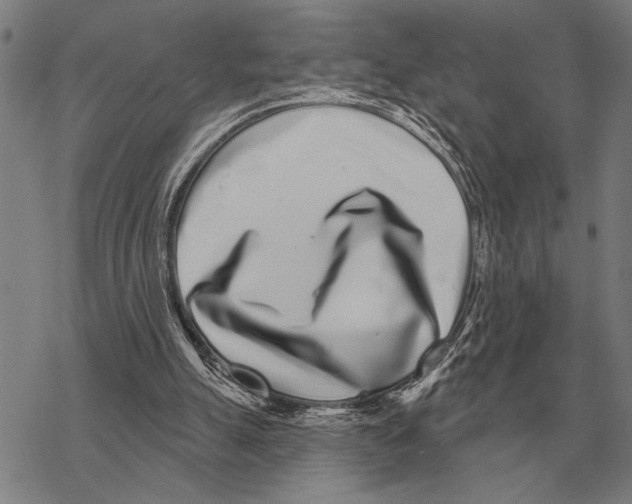 X0000068270055200605191838