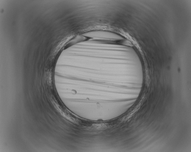 X0000068270057200605191838