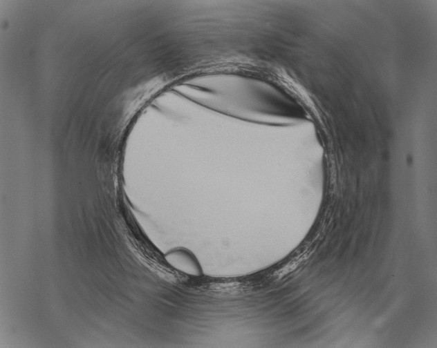 X0000068270059200605191838