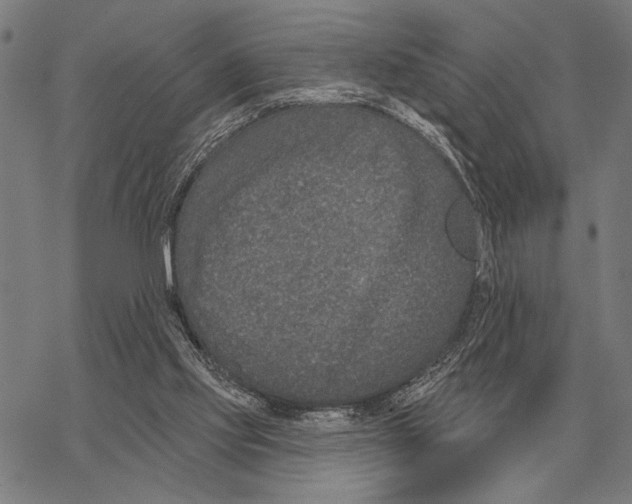 X0000068270061200605191838