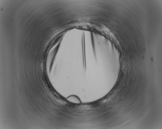 X0000068270063200605191838