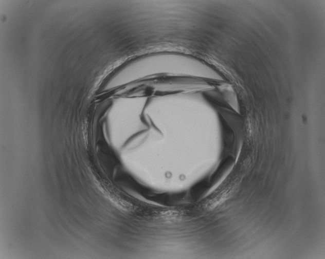 X0000068270064200605191838