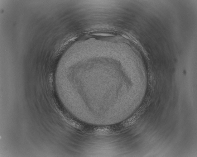 X0000068270066200605191838