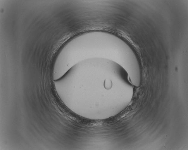 X0000068270068200605191838