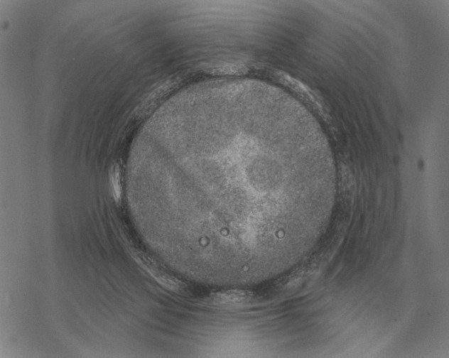 X0000068270069200605191838