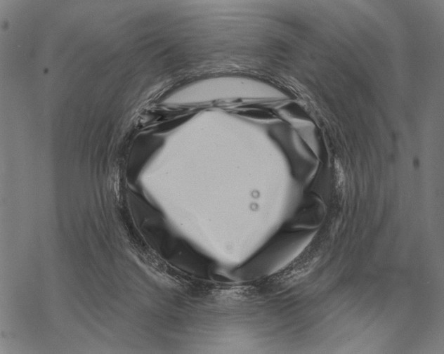 X0000068270072200605191838