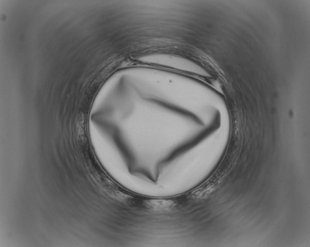 X0000068270073200605191838