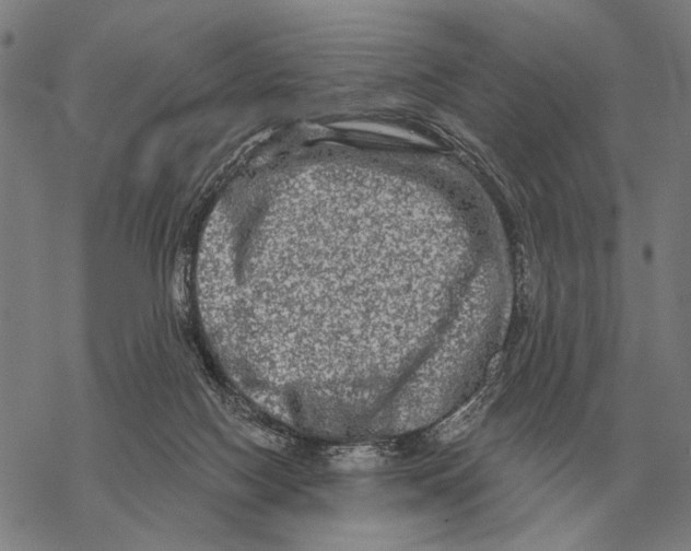 X0000068270074200605191838