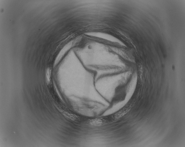 X0000068270075200605191838