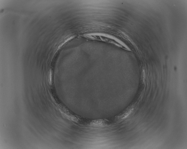 X0000068270076200605191838