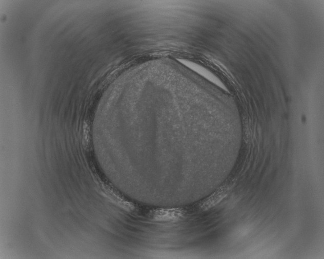 X0000068270077200605191838