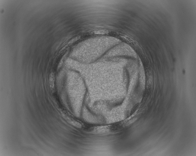 X0000068270078200605191838