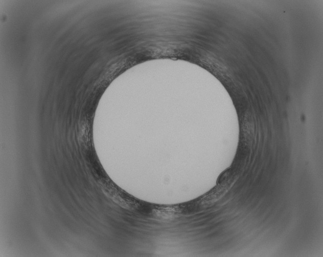 X0000068270079200605191838