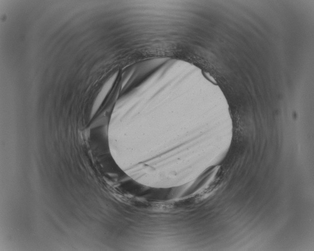 X0000068270080200605191838