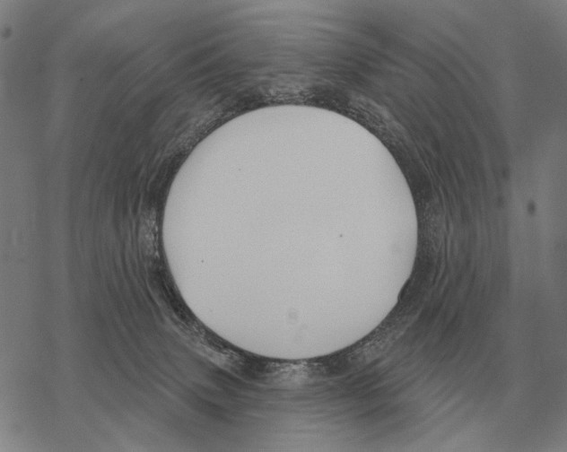 X0000068270083200605191838