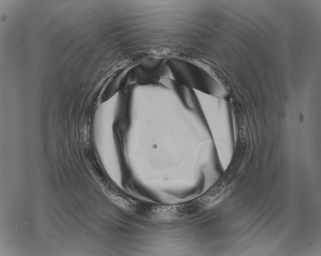 X0000068270084200605191838