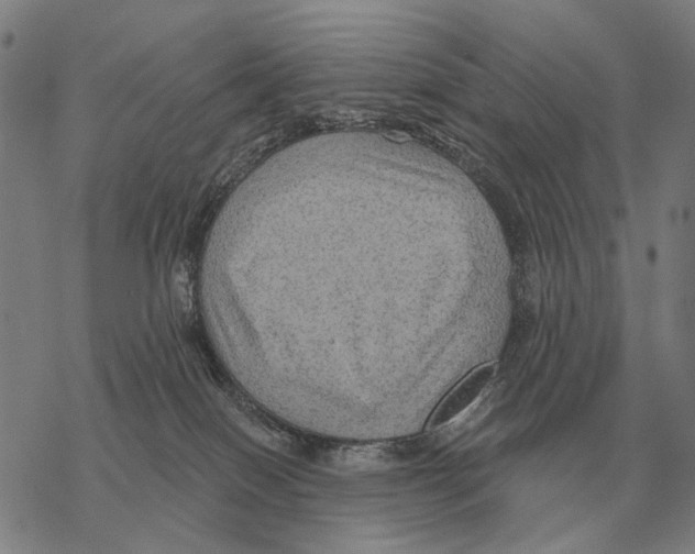 X0000068270086200605191838