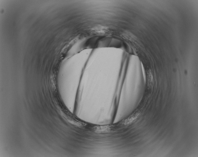 X0000068270088200605191838