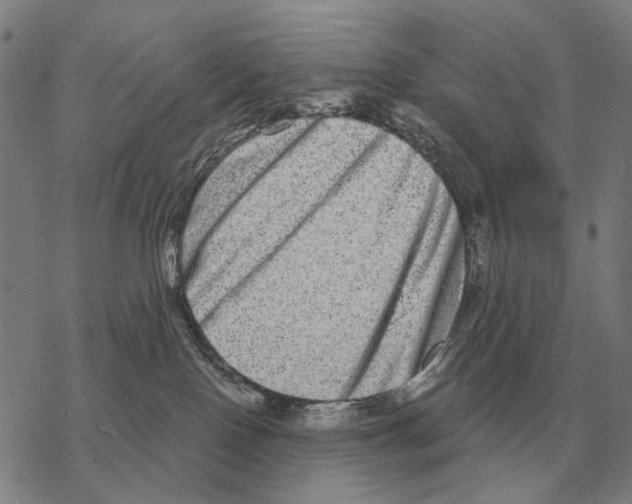 X0000068270090200605191839