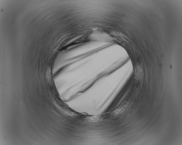 X0000068270092200605191839