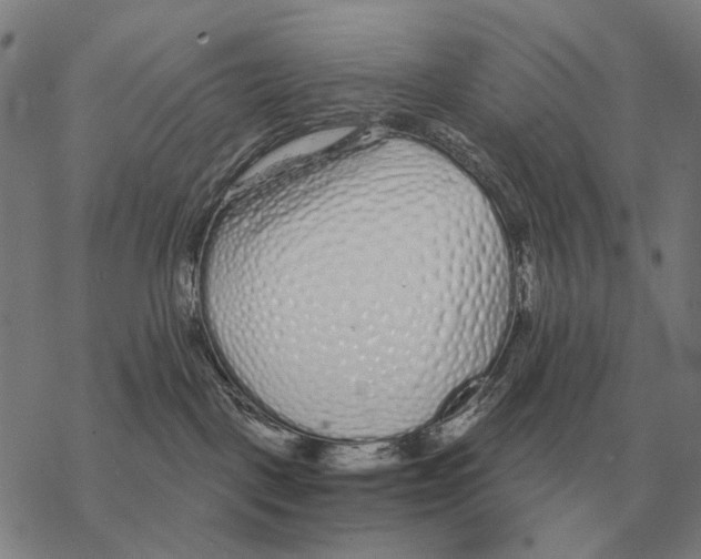 X0000068270093200605191839