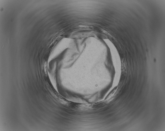 X0000068270094200605191839