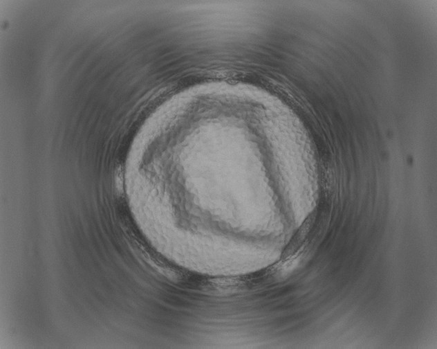 X0000068270095200605191839