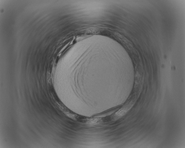 X0000068270096200605191839