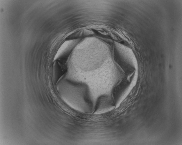 X0000068270097200605191838