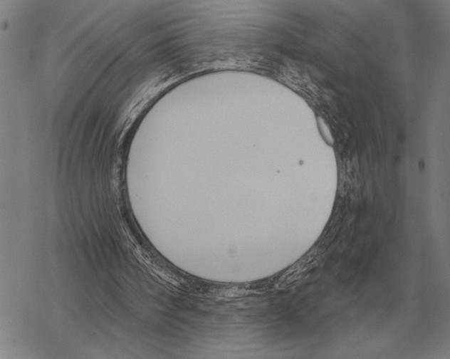 X0000068270098200605191838