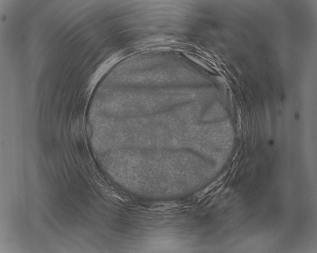 X0000068270099200605191838