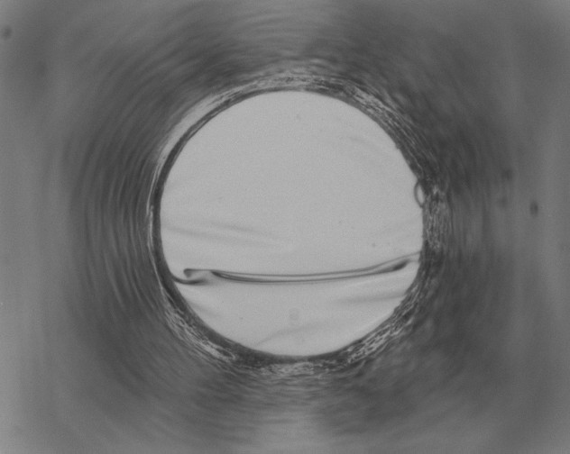 X0000068270100200605191838