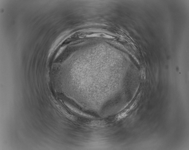 X0000068270101200605191838