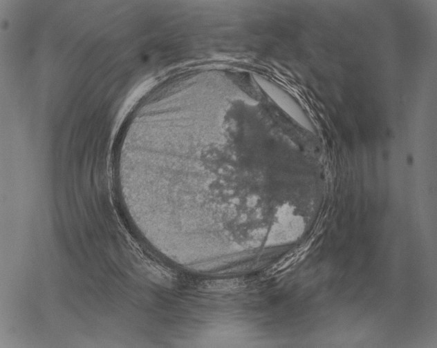 X0000068270102200605191838