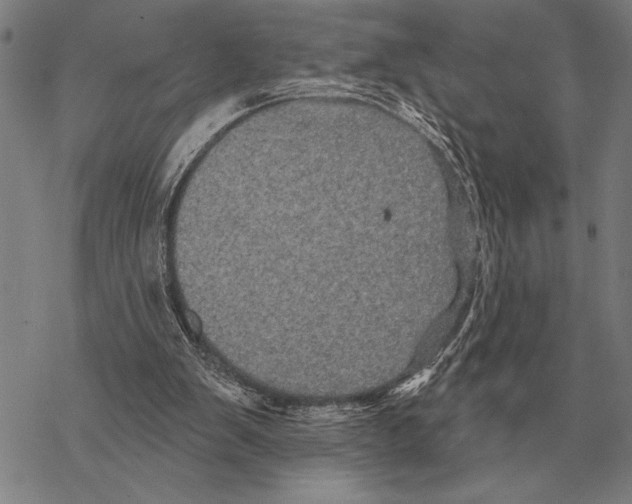 X0000068270103200605191838