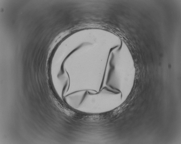 X0000068270104200605191838