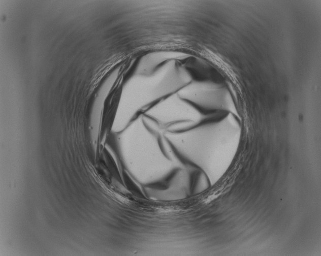 X0000068270105200605191838