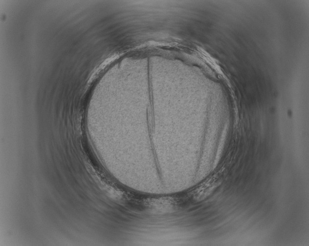 X0000068270106200605191838