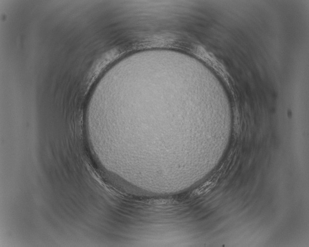 X0000068270107200605191838