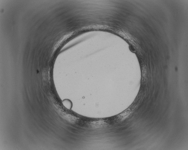 X0000068270112200605191838