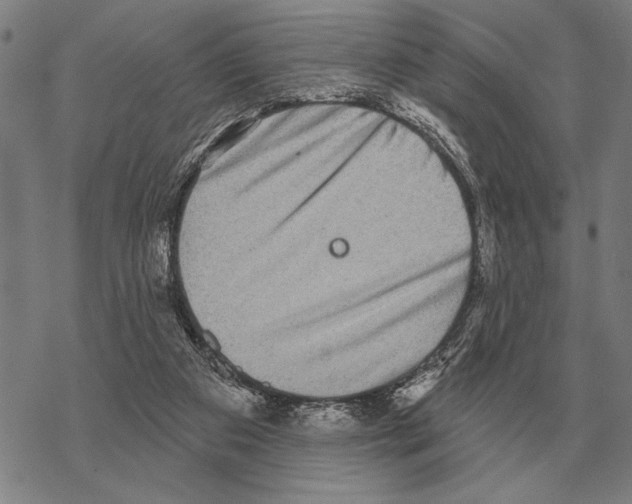 X0000068270113200605191838