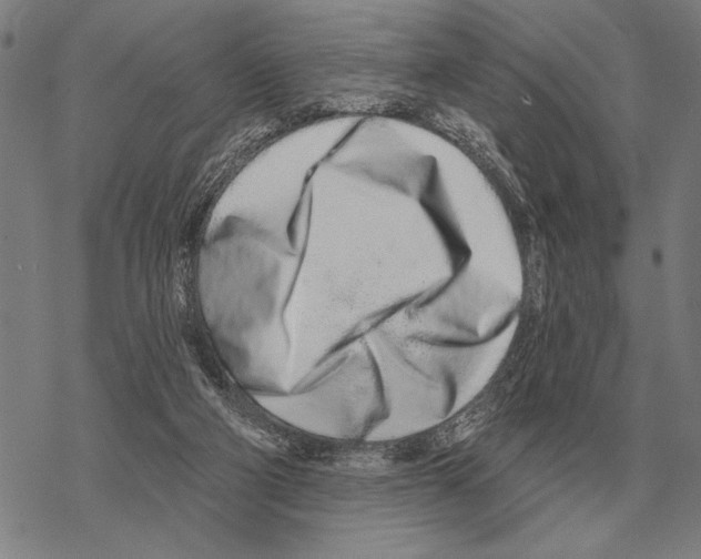 X0000068270114200605191838