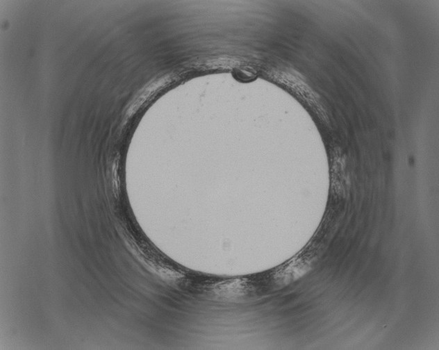 X0000068270116200605191838