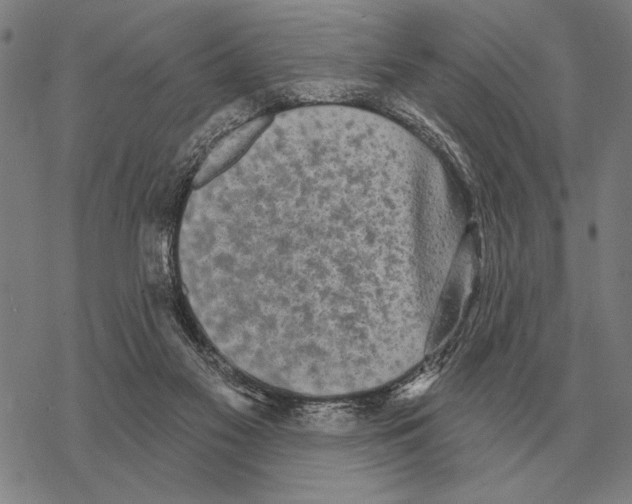 X0000068270117200605191838