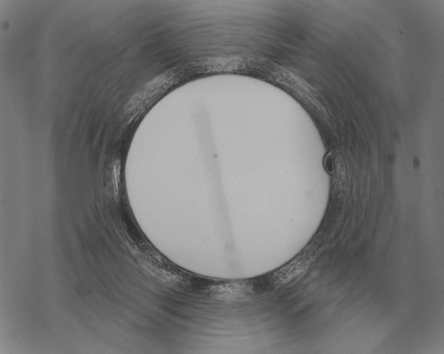 X0000068270118200605191838