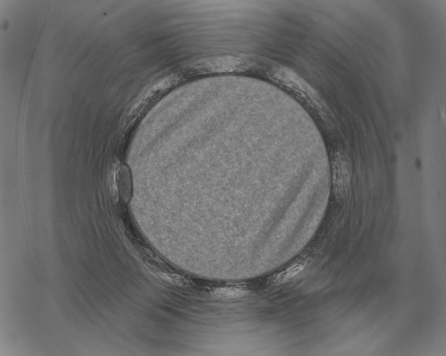 X0000068270119200605191837