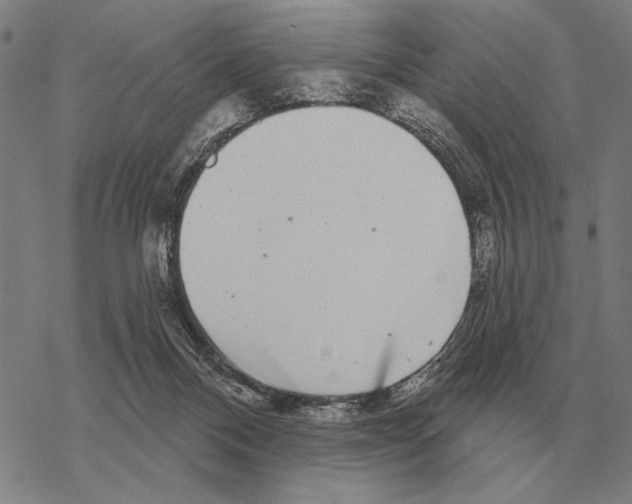 X0000068270120200605191837